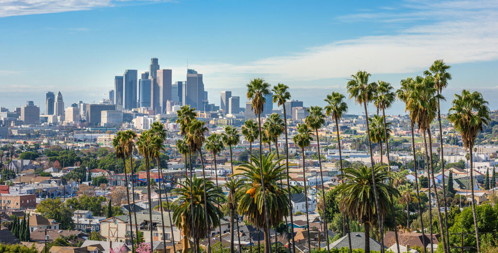 Downtown Los Angeles City Skyline with buildings and palm trees, City Codes